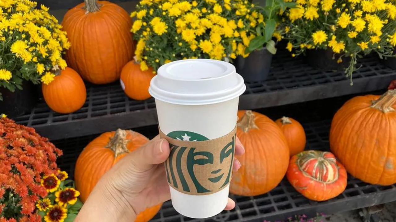 pumpkin spice pumpkin spice